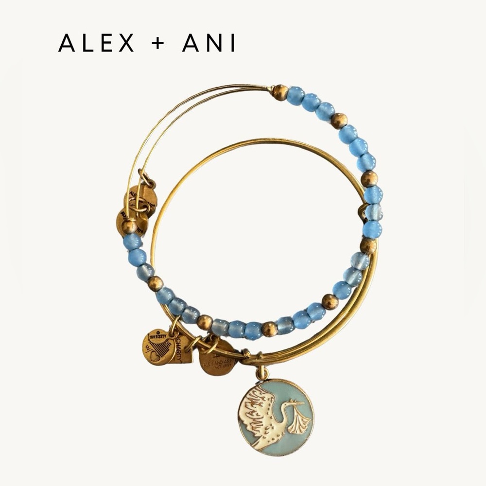 Alex and ani “special delivery” boy charm set